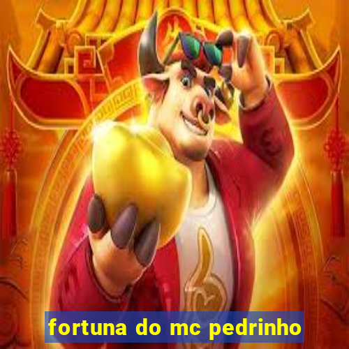 fortuna do mc pedrinho